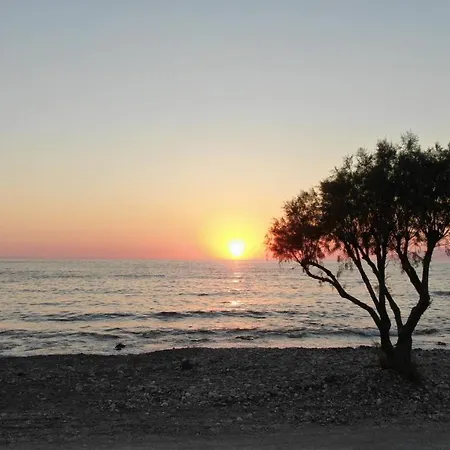 Yellow - The Sunset In A בית הארחה